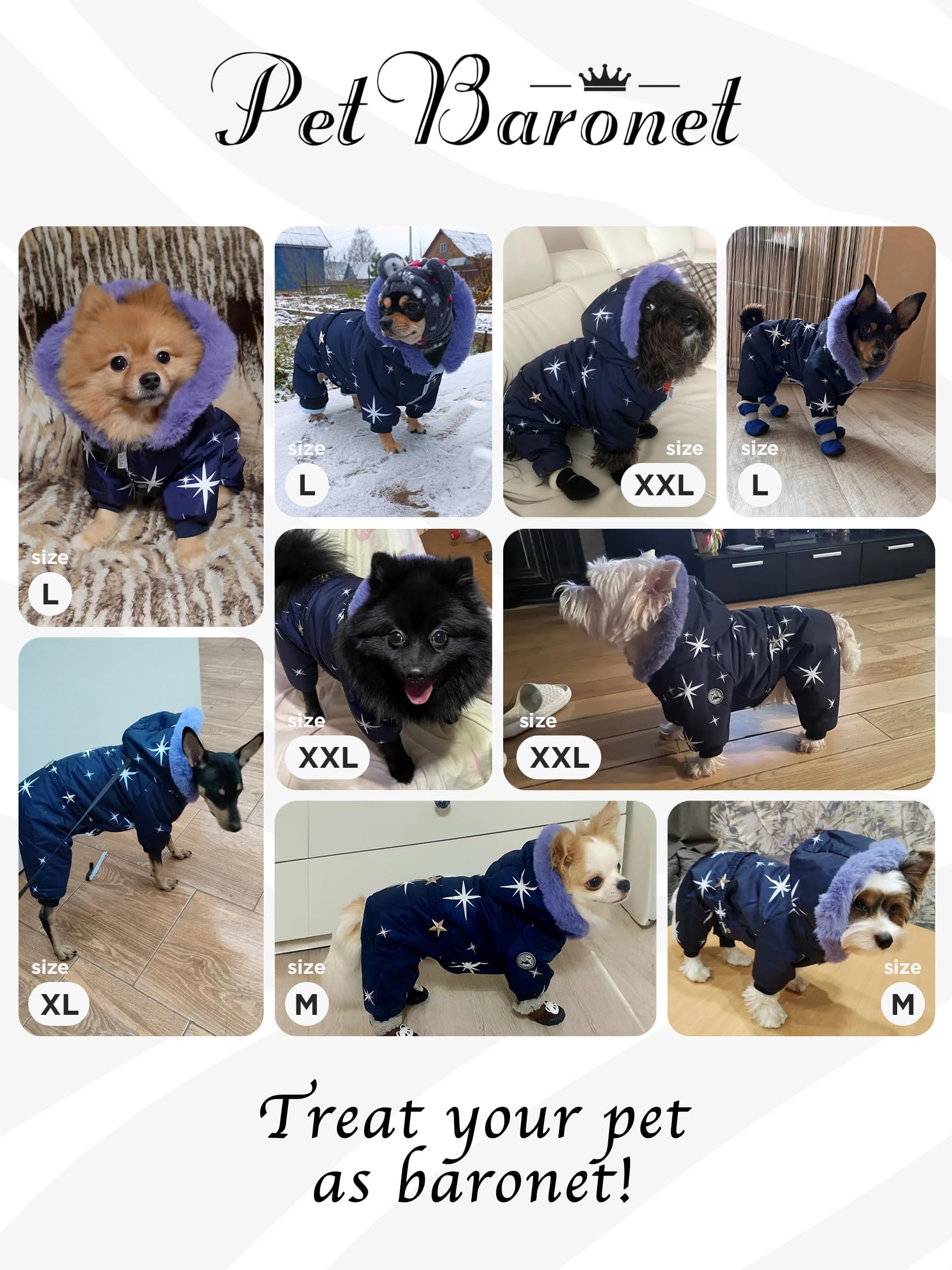 PetBaronet winter jacket hood detail offering wind protection during chilly walks