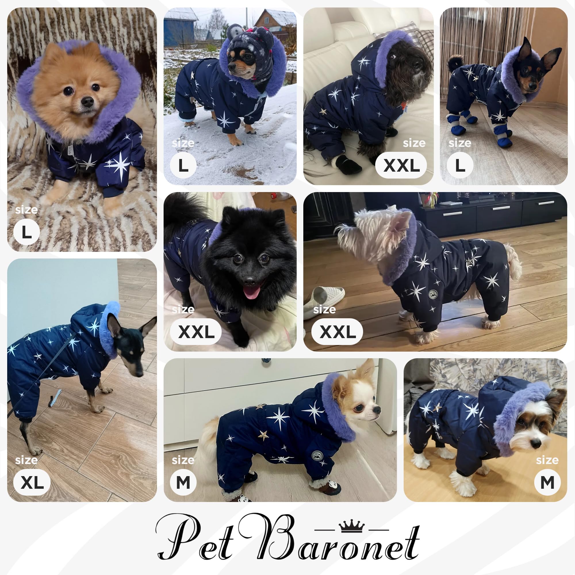 PetBaronet dog wearing jacket outdoors in snow for warmth and protection