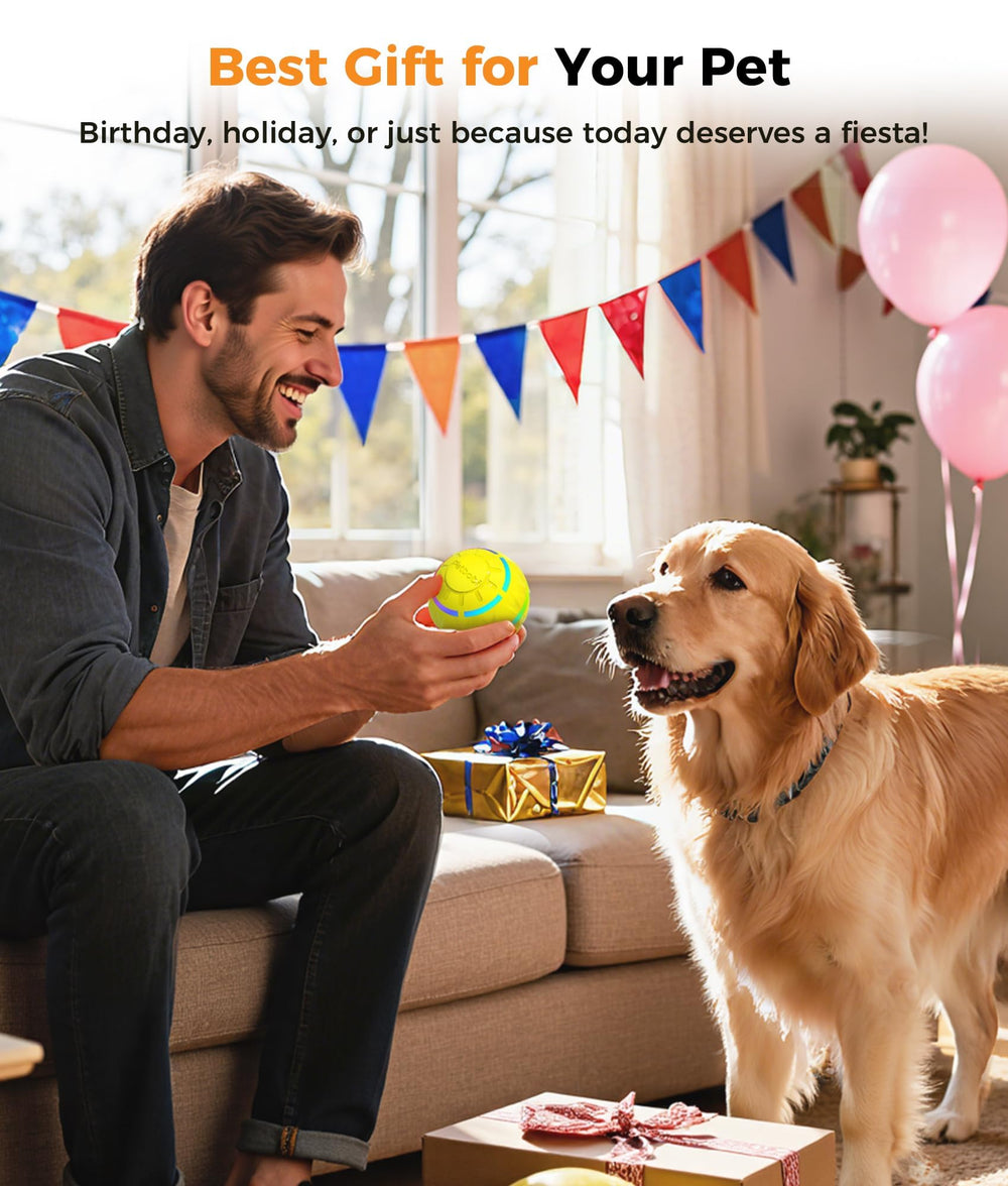 Petbobi 3-15-inch diameter ball ideal for small to medium dogs' workouts.