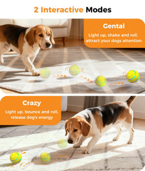 Petbobi automatic rolling ball for dogs delivering engaging chase sessions.