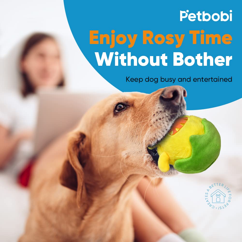 Petbobi daily-play-exercise highlights ongoing fun and daily activity