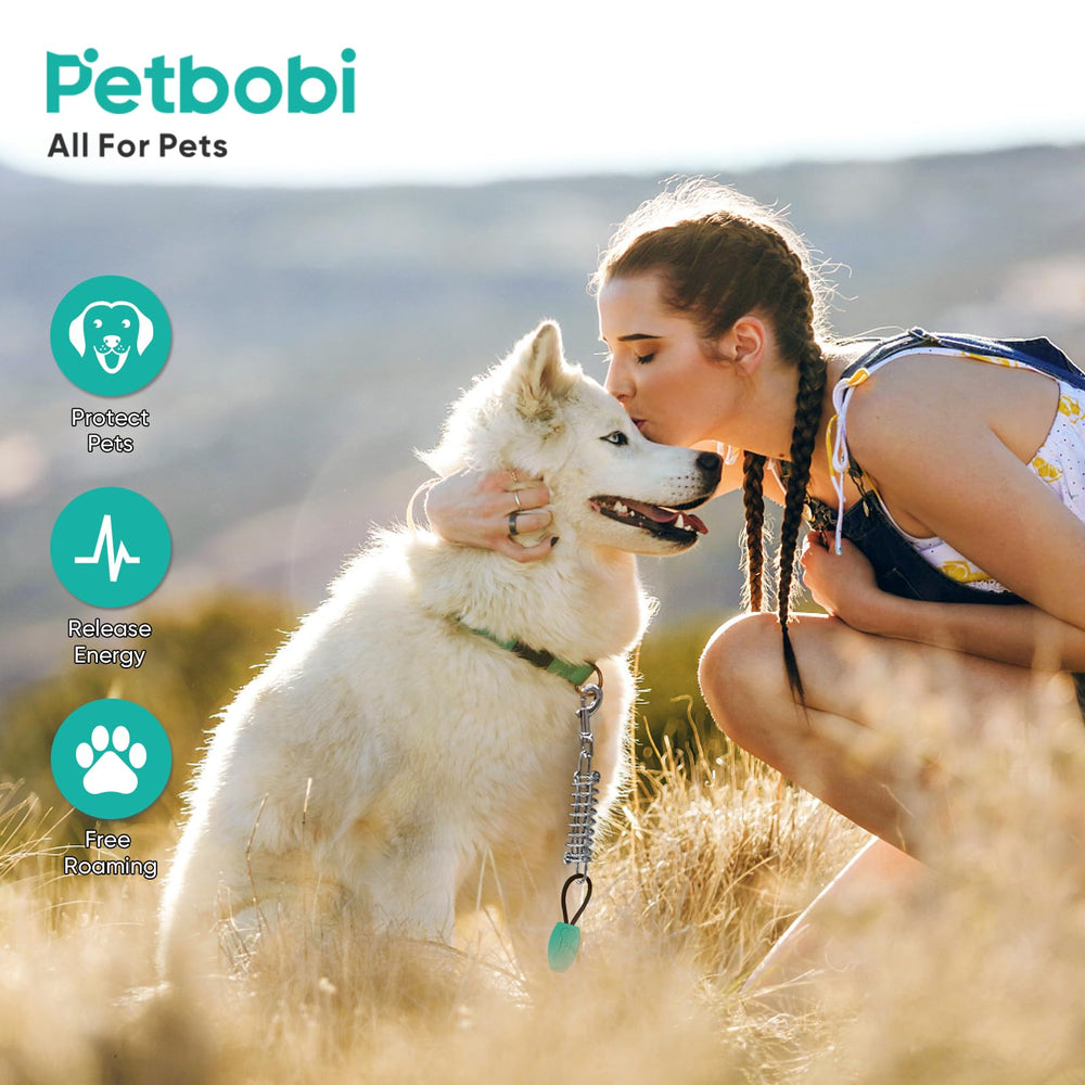 Petbobi dog tie-out easy installation with screw-in ground stake.