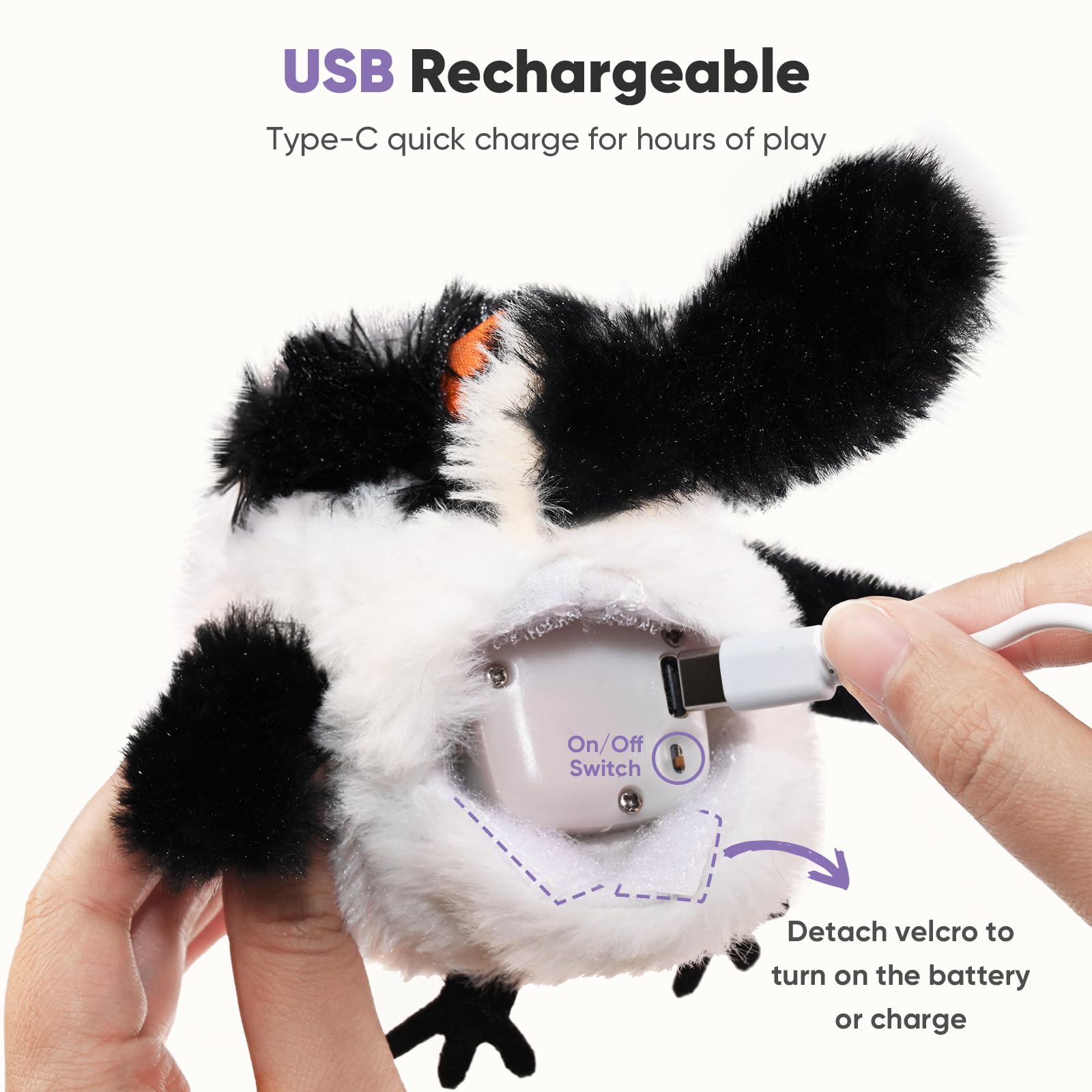 Petbobi durable stitching withstands energetic kittens