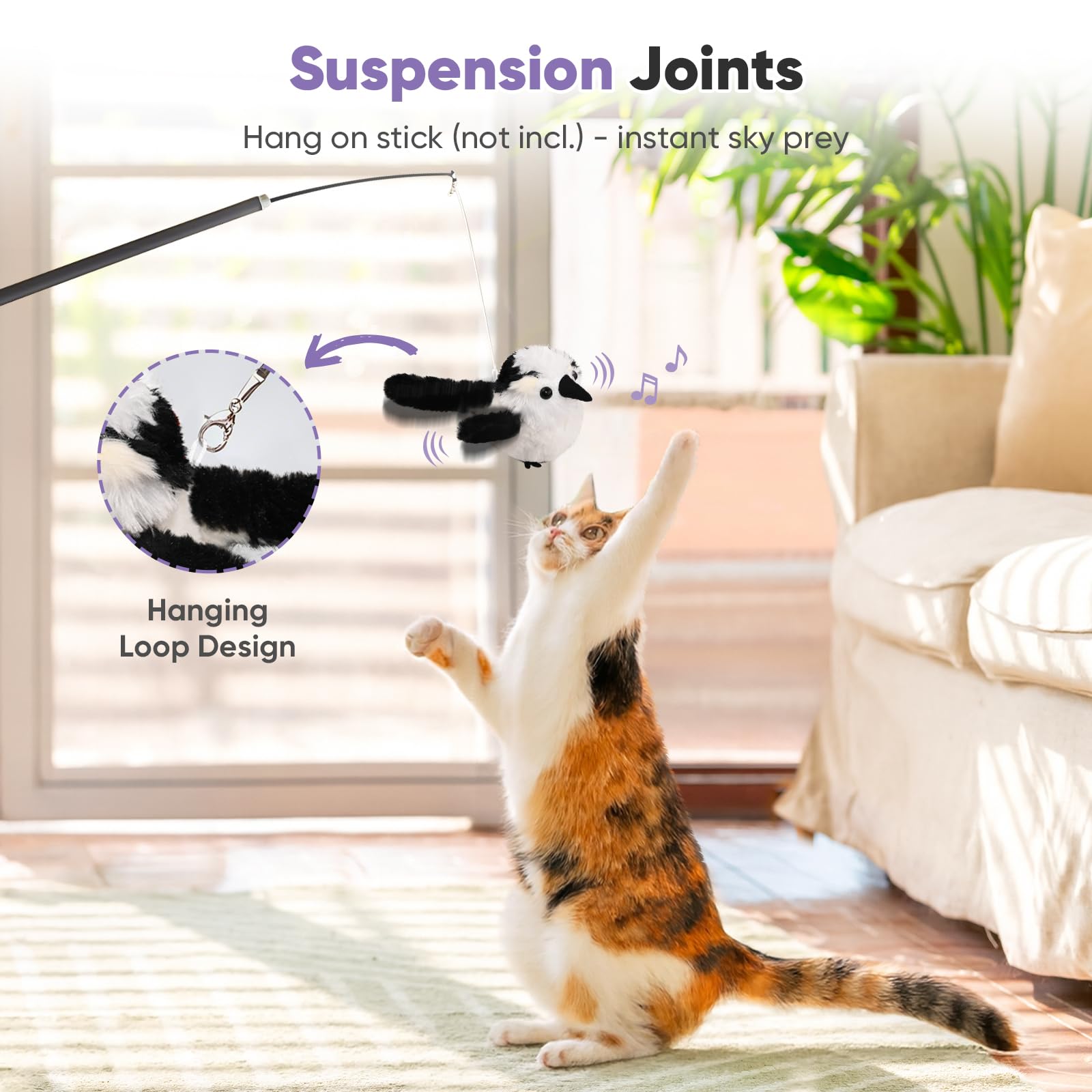 Petbobi indoor cat play setup for focused chases