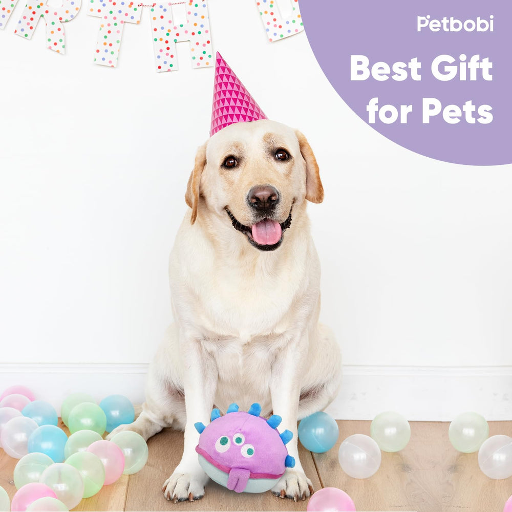 Petbobi Jolly Jelly Bobby dogs engaging playtime strengthens bond.