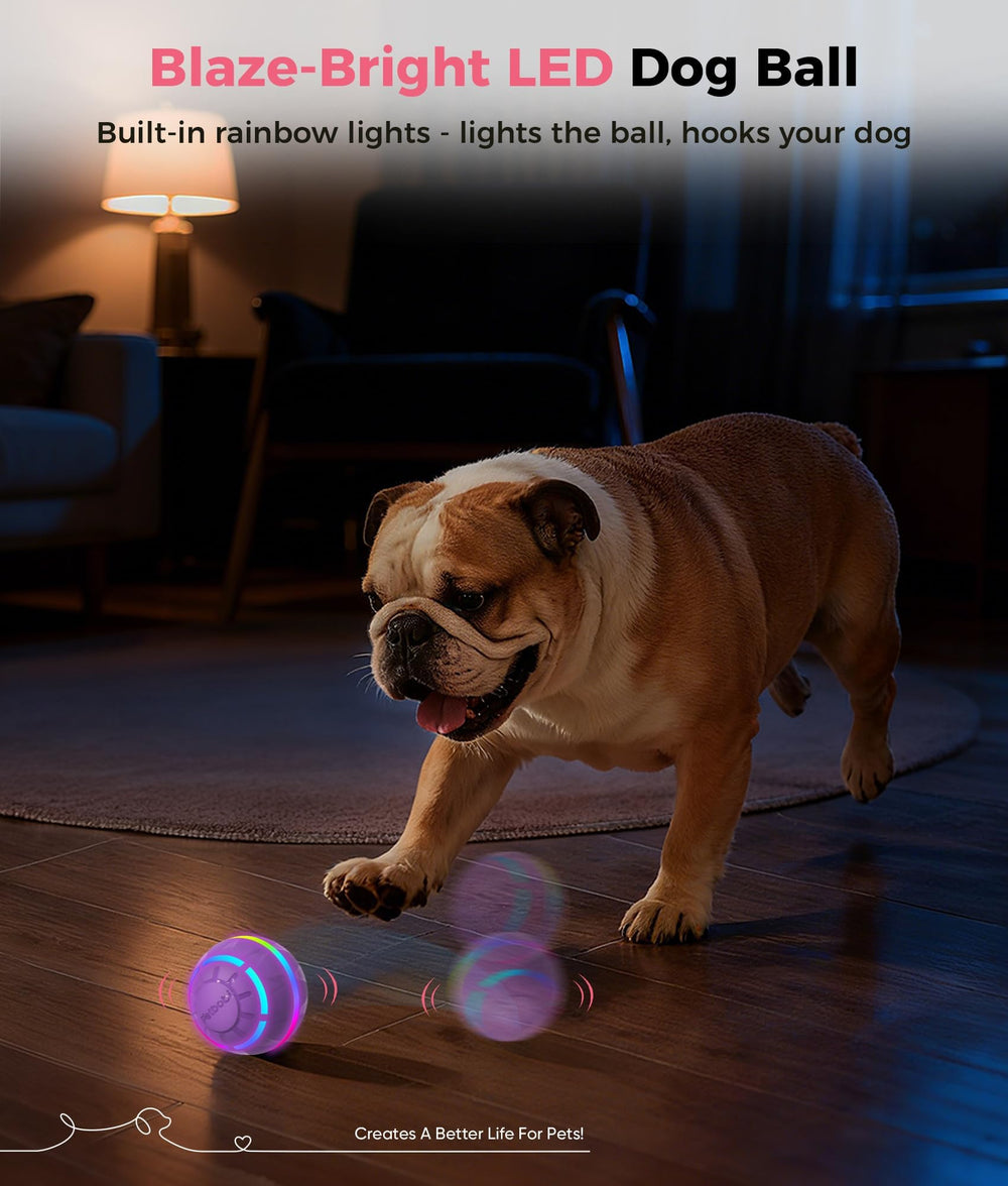 Petbobi LED-lit dog ball attracts dogs in dim light.