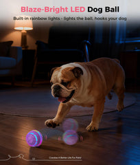 Petbobi LED-lit dog ball attracts dogs in dim light.