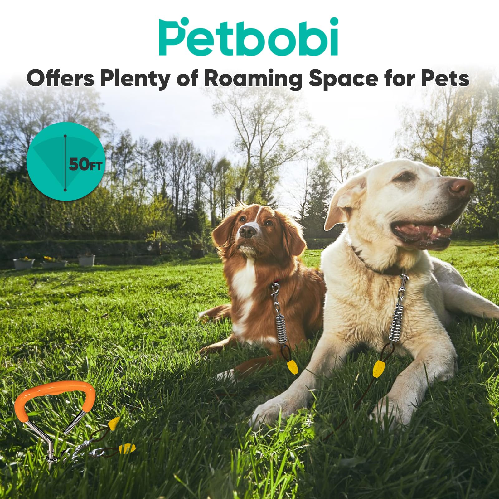 Petbobi 360-degree rotating clips prevent tangles during use.