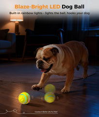 Petbobi USB-rechargeable dog ball for mess-free play and quick recharging.