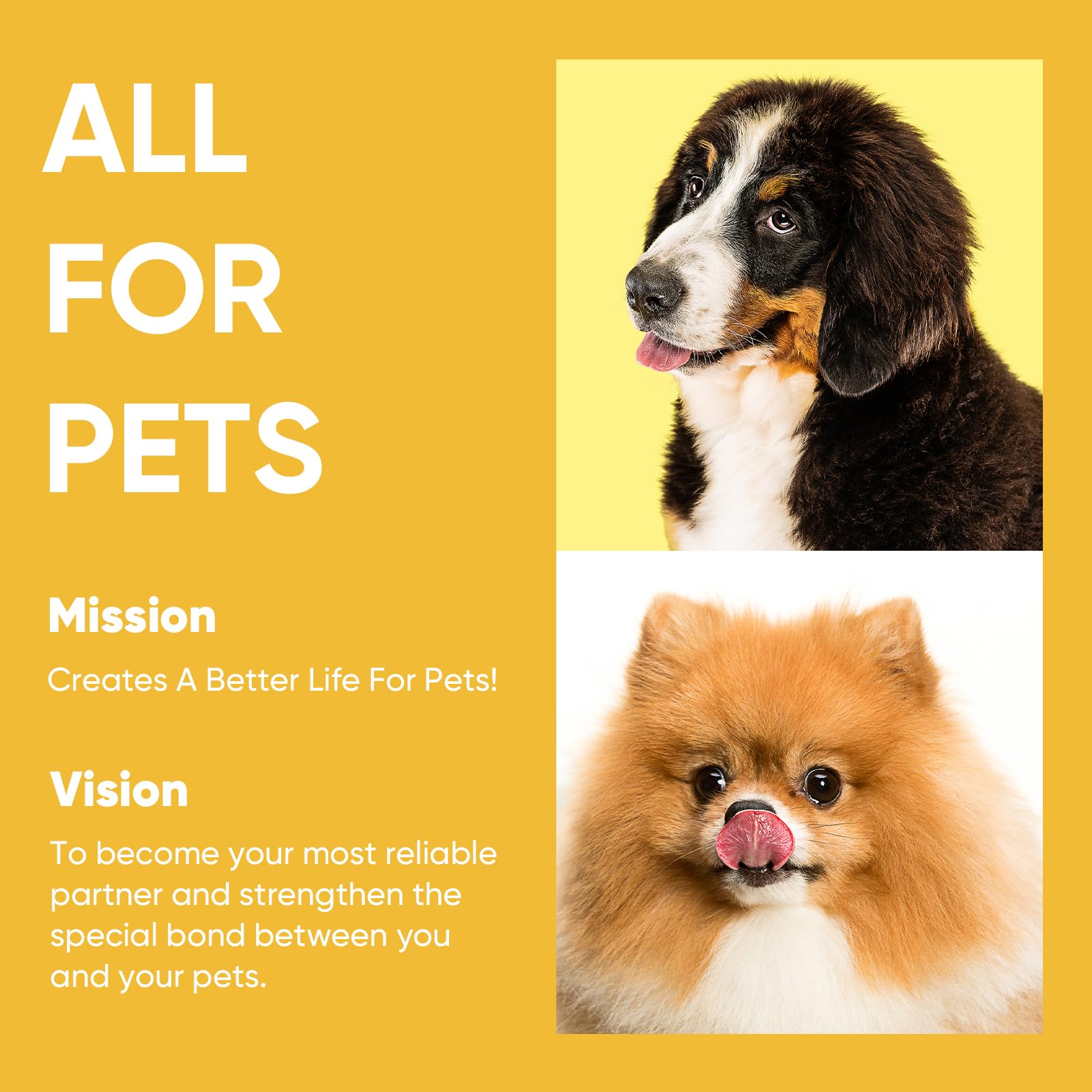 Petbobi weatherproof tie-out ideal for yard beach and park use