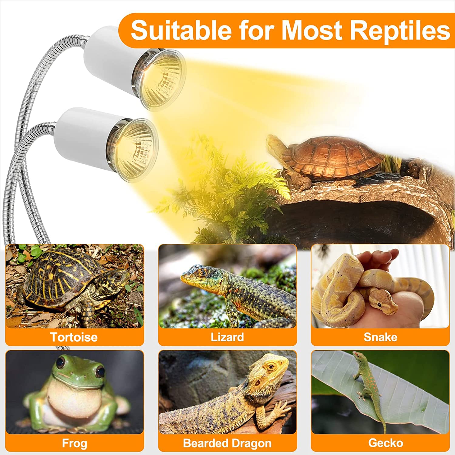 Petboda reptile heat lamp broad compatibility for turtles, lizards, snakes, bearded dragons, and more