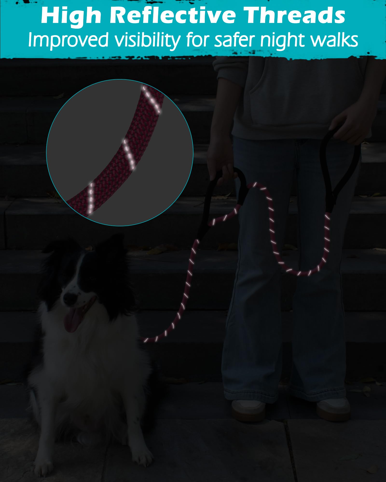 PetBonus 360-degree swivel clip showing tangle-free motion and smooth releases