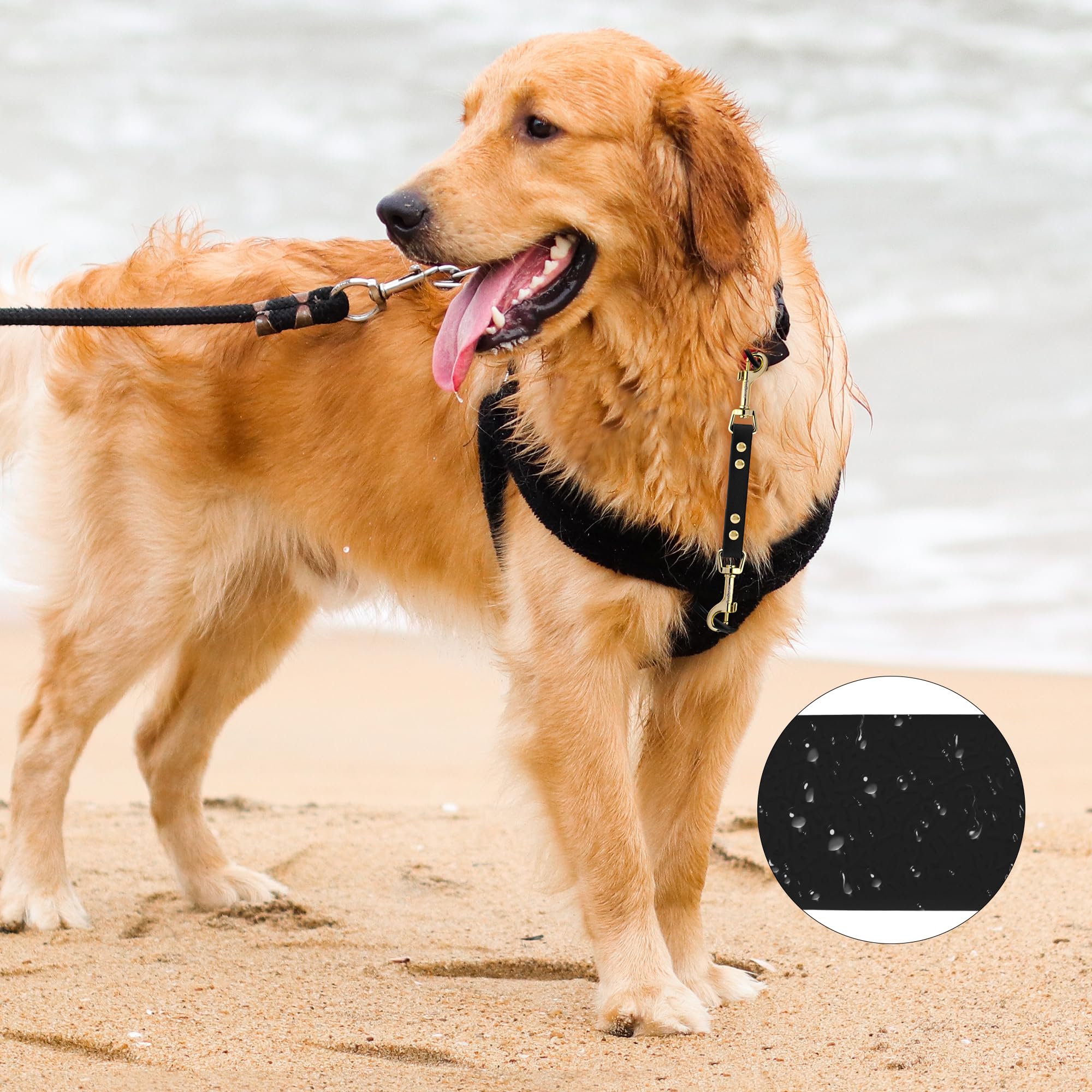 PetBonus 360 swivel clasp attached to collar for quick, secure connection.