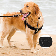 PetBonus 360 swivel clasp attached to collar for quick, secure connection.
