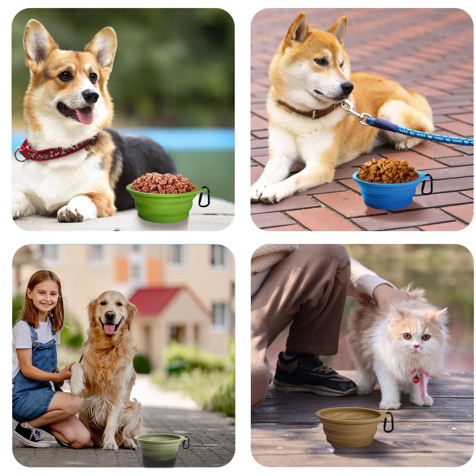 PetBonus bowls in use on a road trip with a pet.