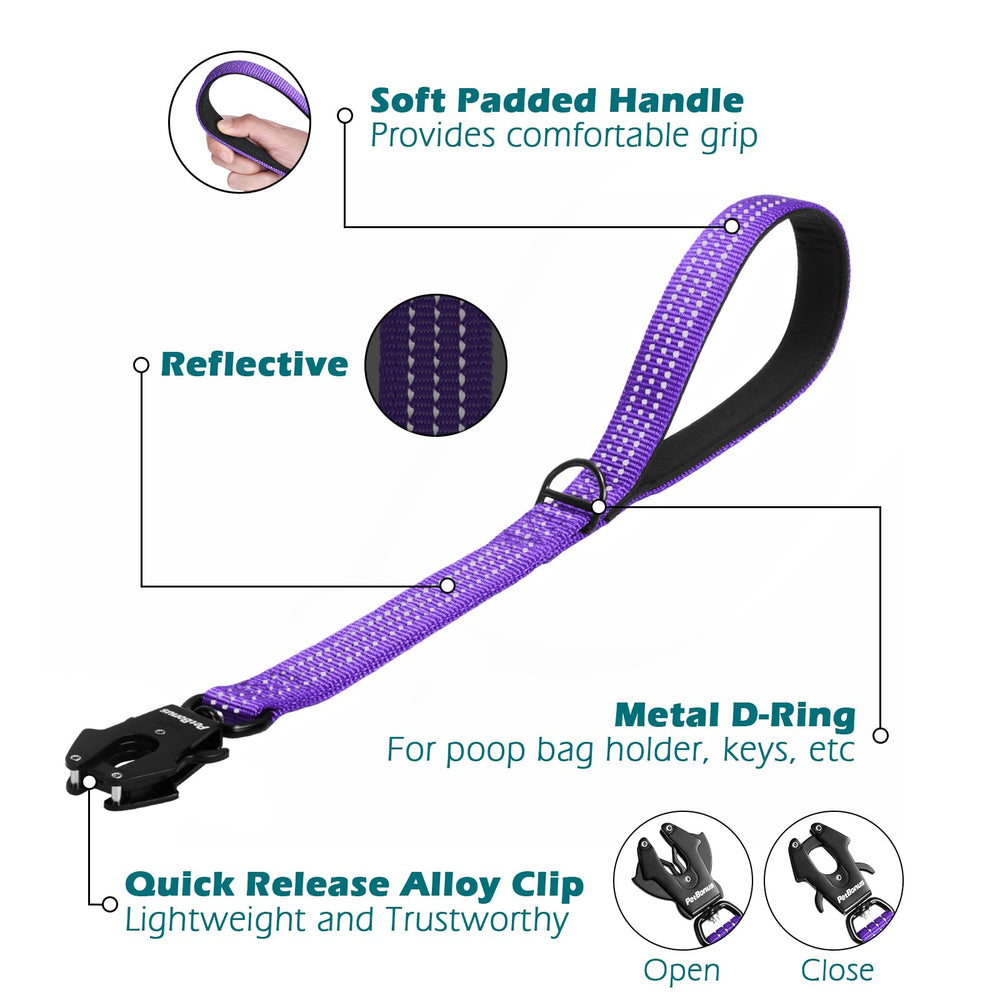 PetBonus D-ring for attaching snacks, bags, or training gear during walks