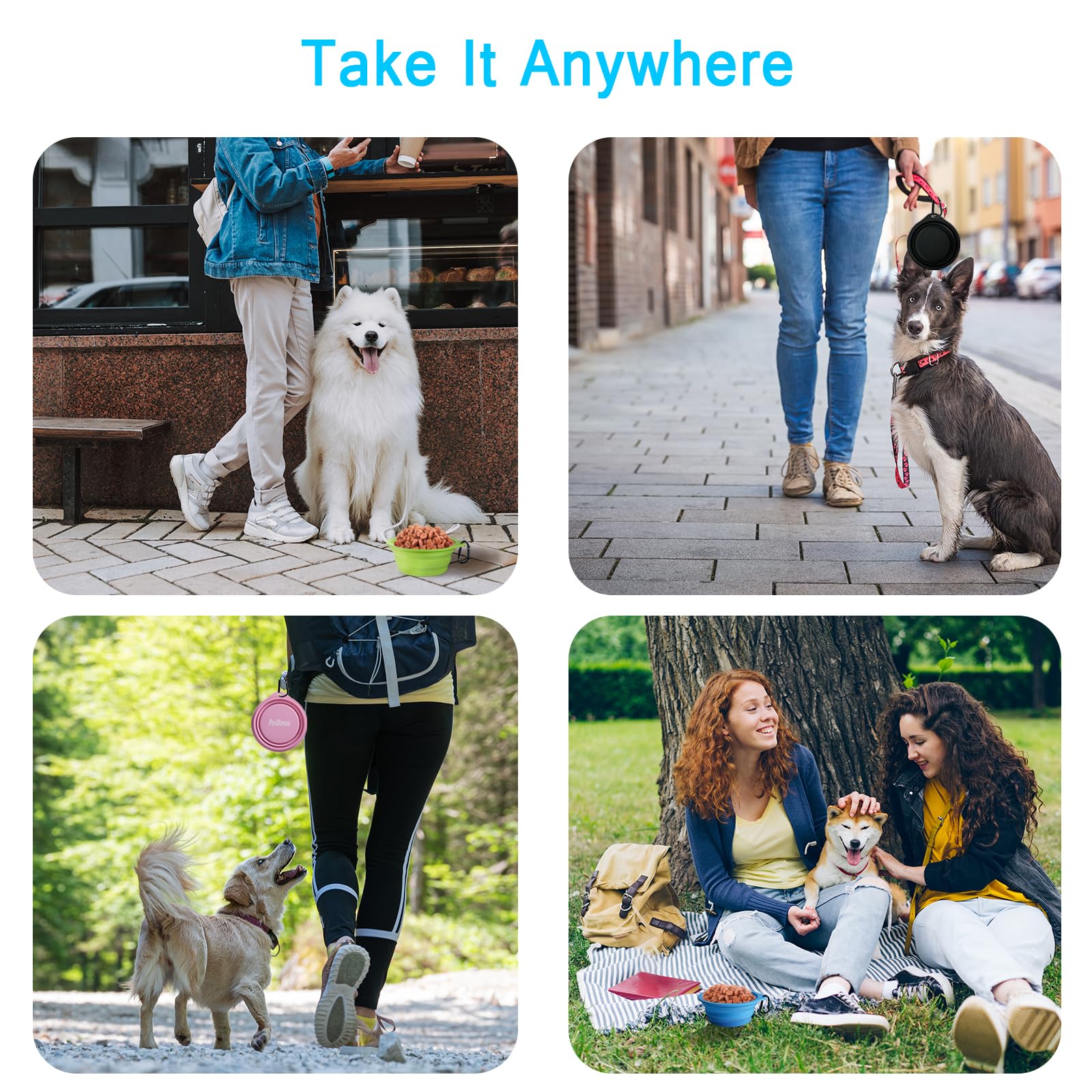 PetBonus dishwasher-safe dog bowl cleans easily after adventures
