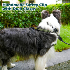 PetBonus 360-rotating-clip image demonstrates secure, adjustable connection
