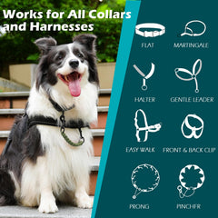 PetBonus army-green harness-attachment view shows versatile compatibility with multiple collars