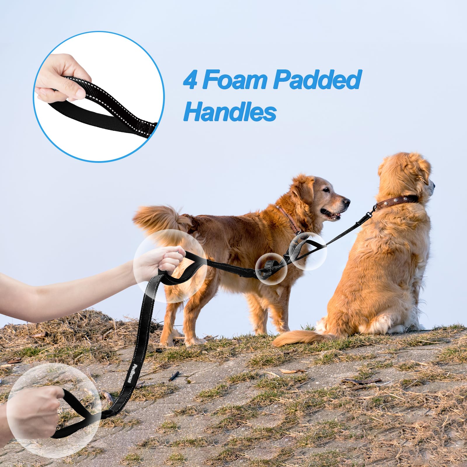 PetBonus double dog leash with collapsible bowl for on-the-go hydration