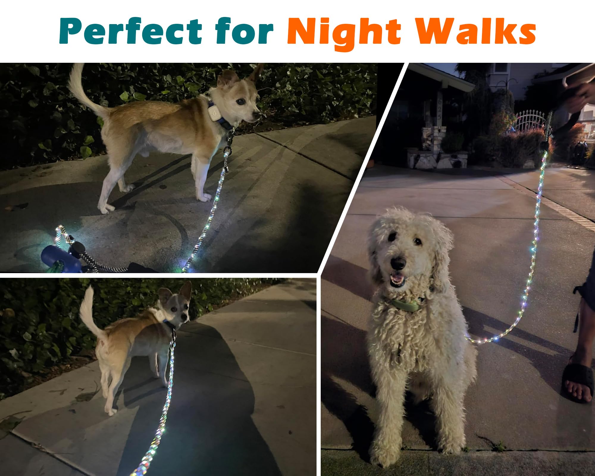 PetBonus durable nylon leash with heavy-duty clip built for daily use and night safety.