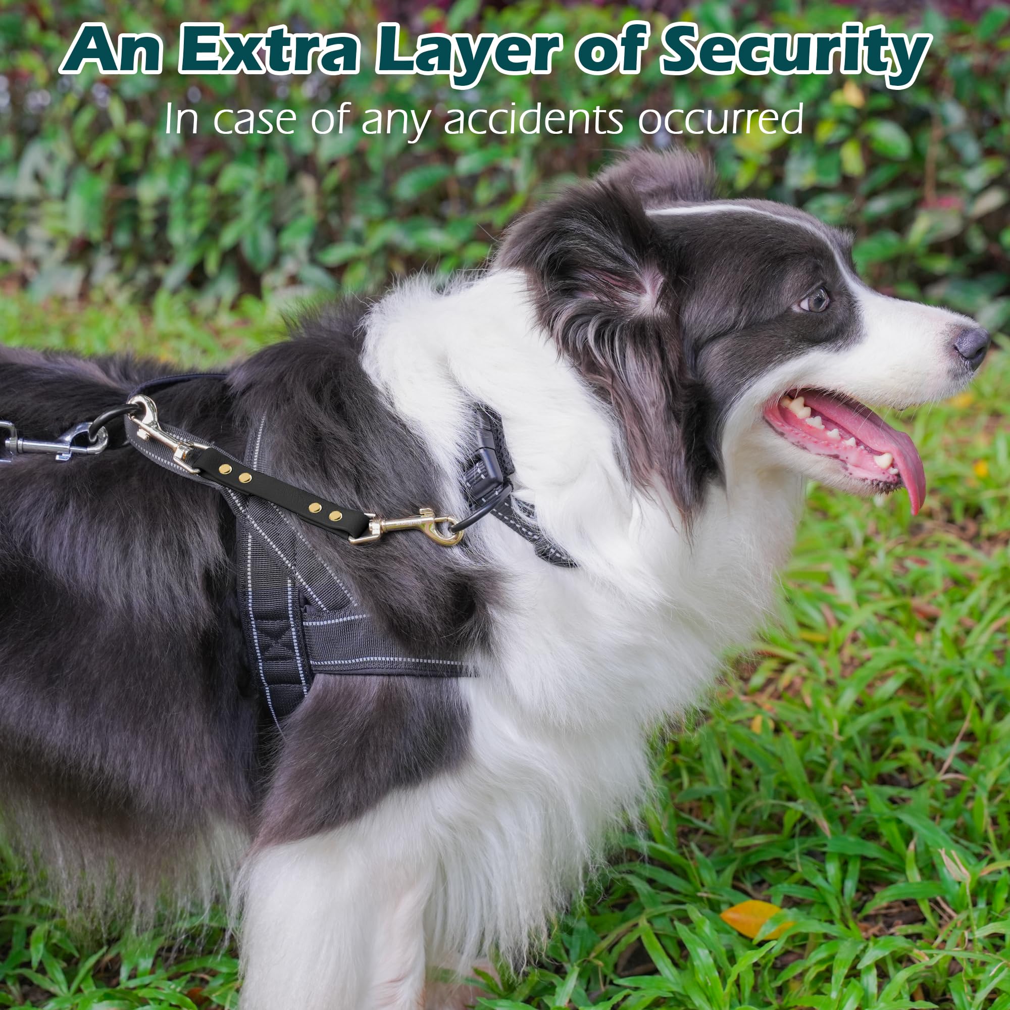 PetBonus durable zinc alloy hardware on clip supports outdoor adventures.