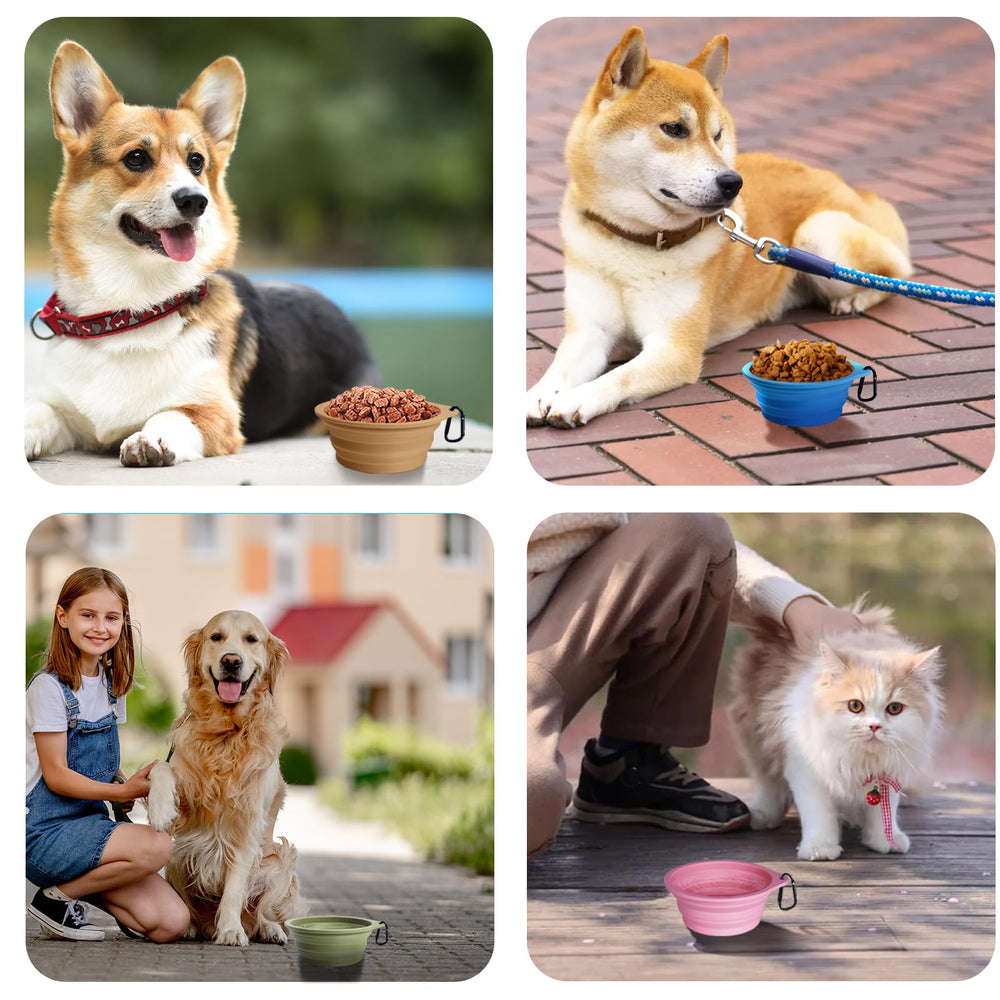 PetBonus folded dog bowl compact for compact storage