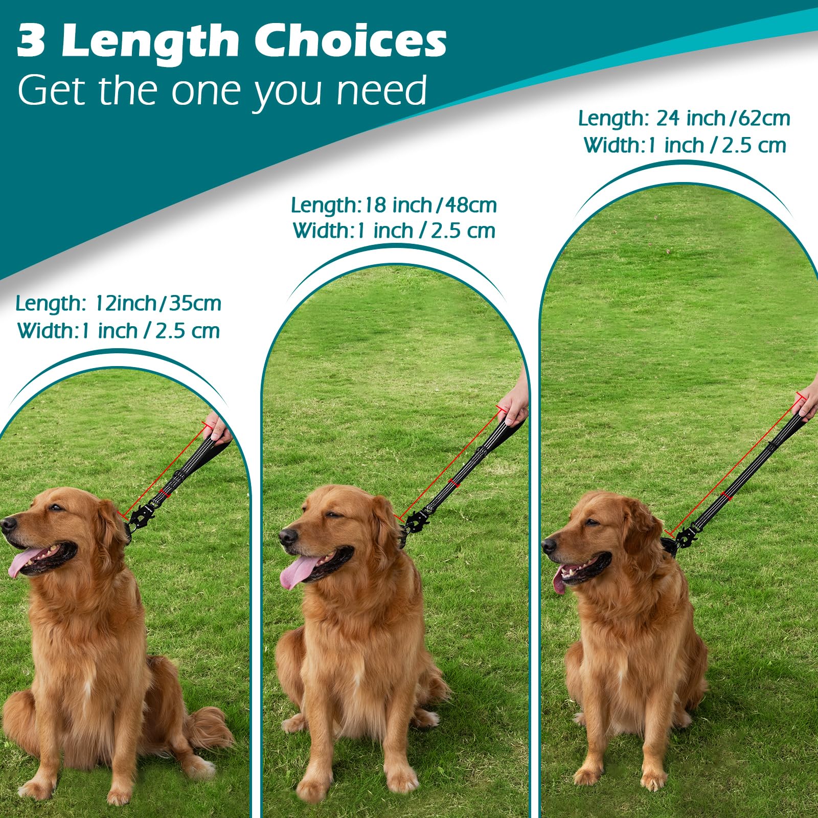 PetBonus heavy-duty short dog leash demonstrating 360-degree rotation to prevent tangling