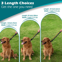 PetBonus heavy-duty short dog leash demonstrating 360-degree rotation to prevent tangling