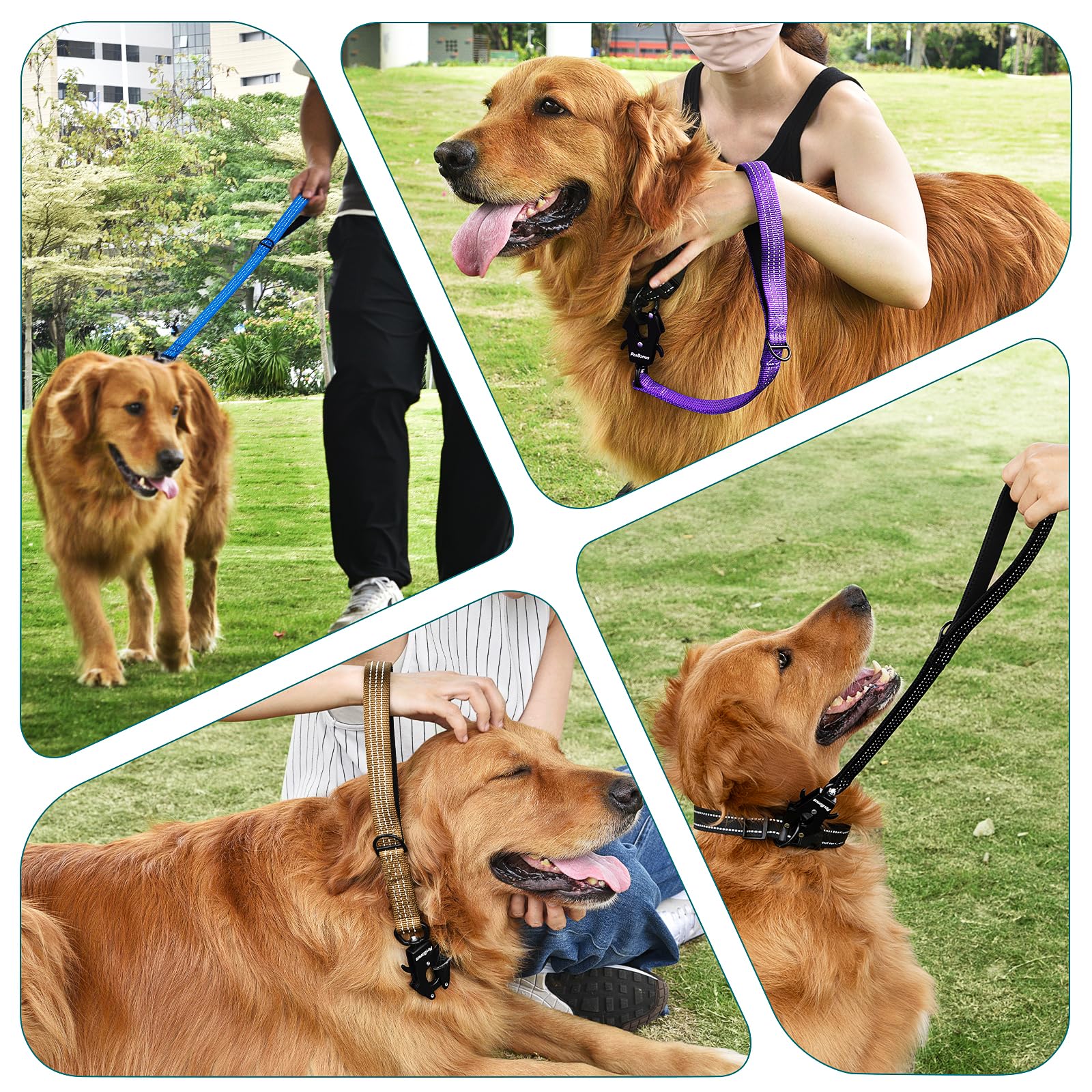 PetBonus heavy-duty short dog leash with metal D-ring for attaching accessories