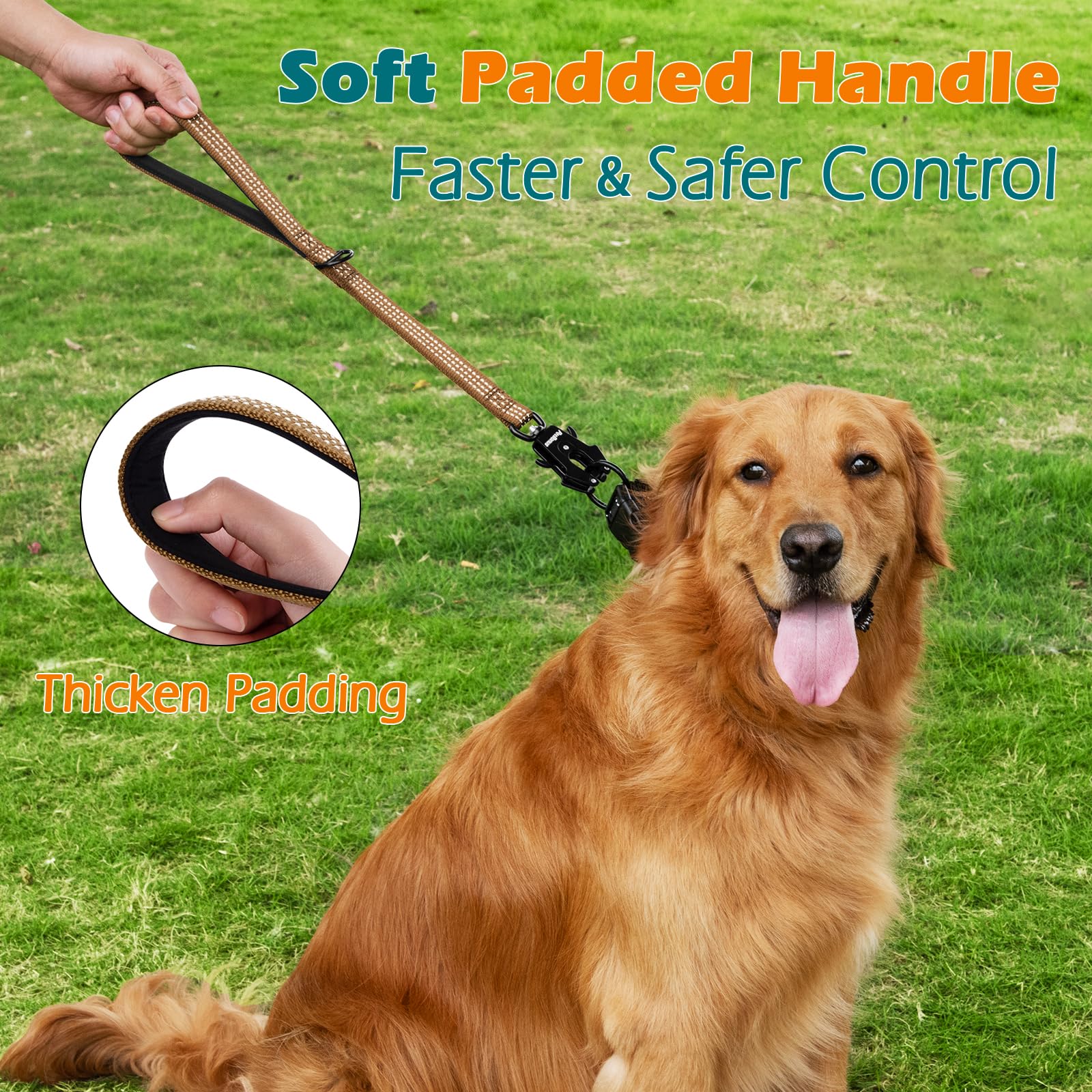 PetBonus quick-release clip on heavy duty short dog leash for one-handed use.