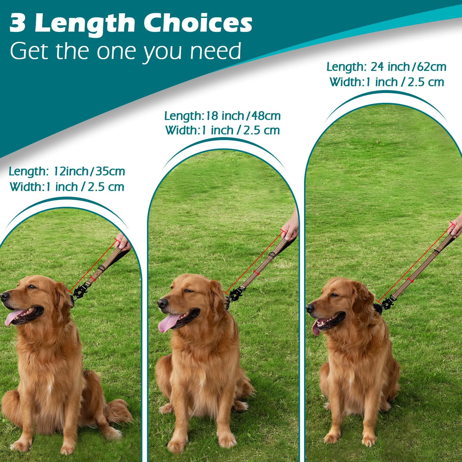 PetBonus leash with reflective stitching increases night visibility during walks.