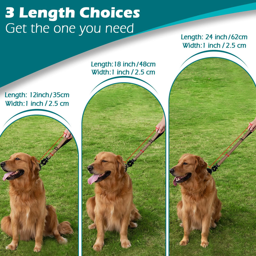 PetBonus leash with reflective stitching increases night visibility during walks.