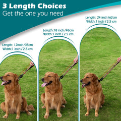 PetBonus leash with reflective stitching increases night visibility during walks.