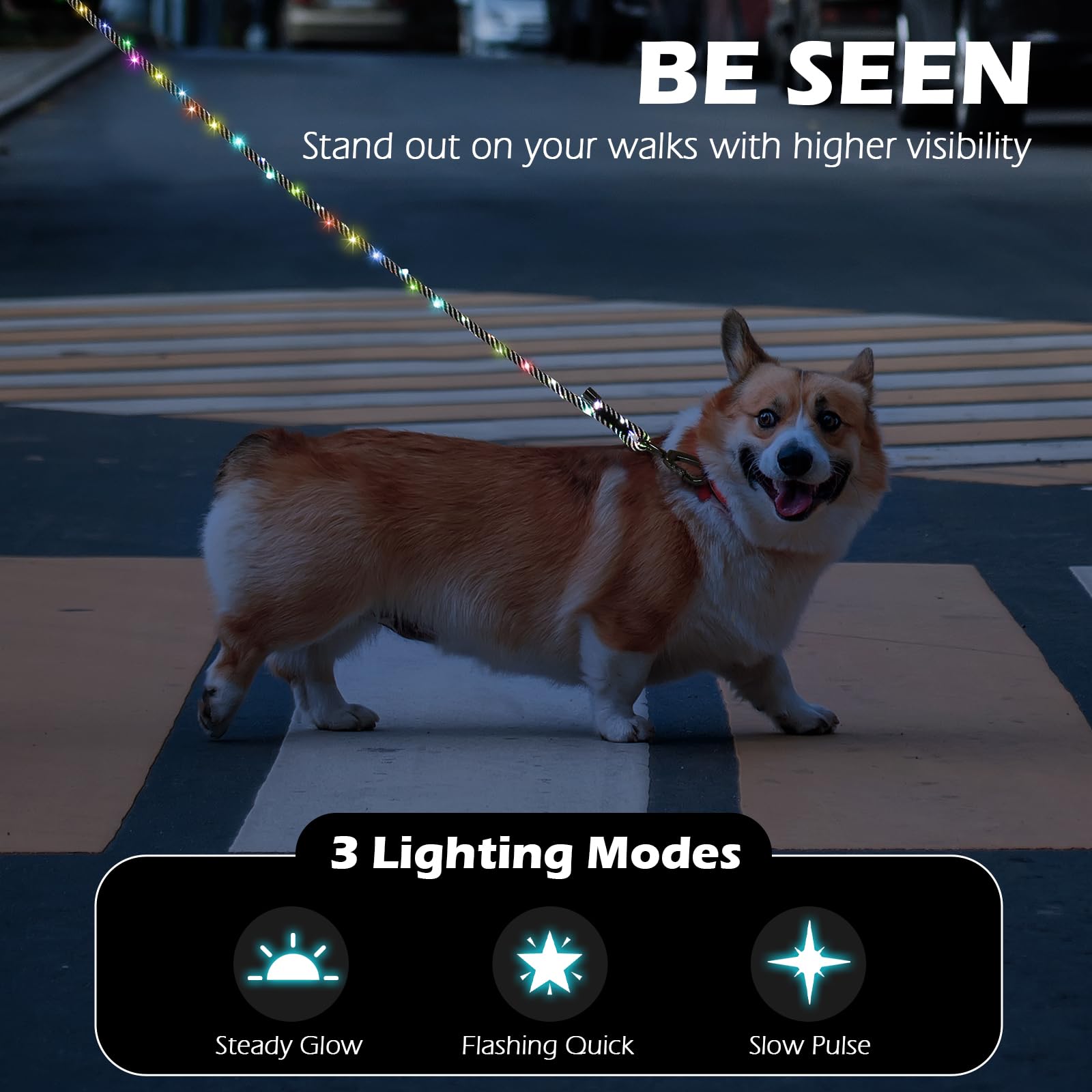 PetBonus LED dog leash charging via USB-C for quick, extended night walks.