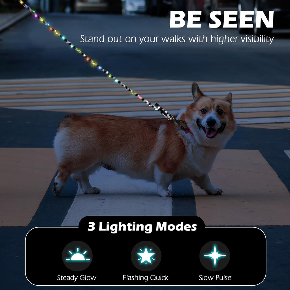 PetBonus LED dog leash charging via USB-C for quick, extended night walks.