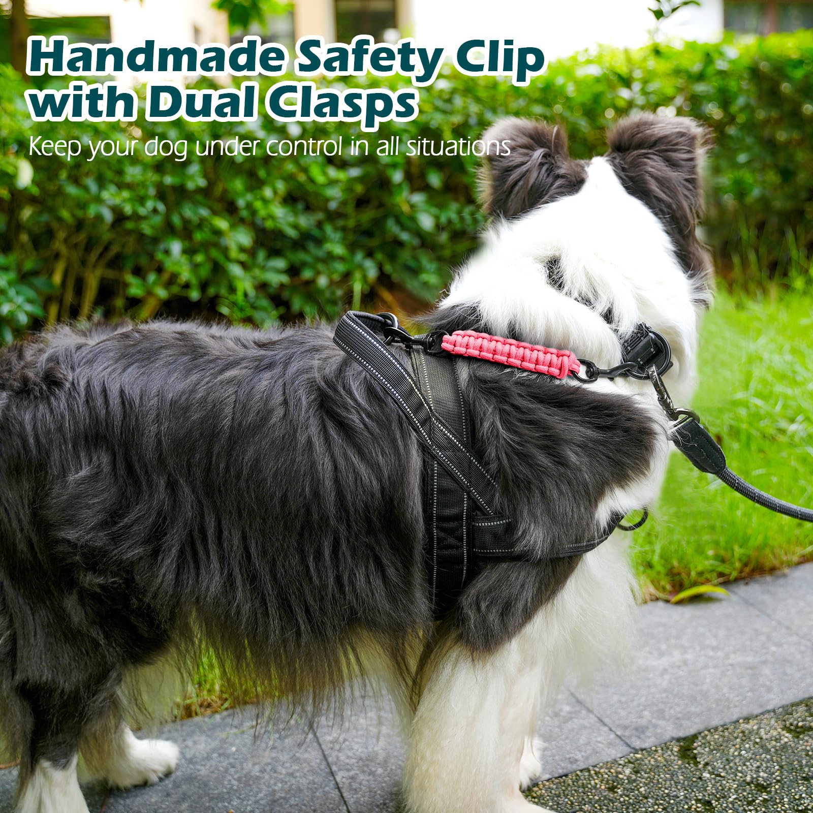 PetBonus clip fits prong, pinch, flat buckle collars for versatile use.