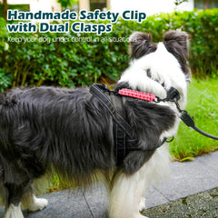 PetBonus clip fits prong, pinch, flat buckle collars for versatile use.