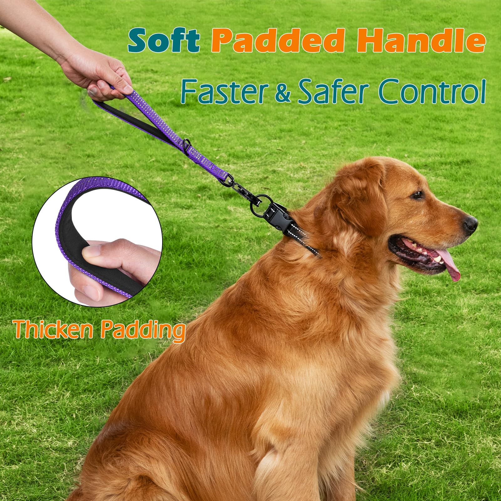 PetBonus reflective stitching visible at night for safer evening walks
