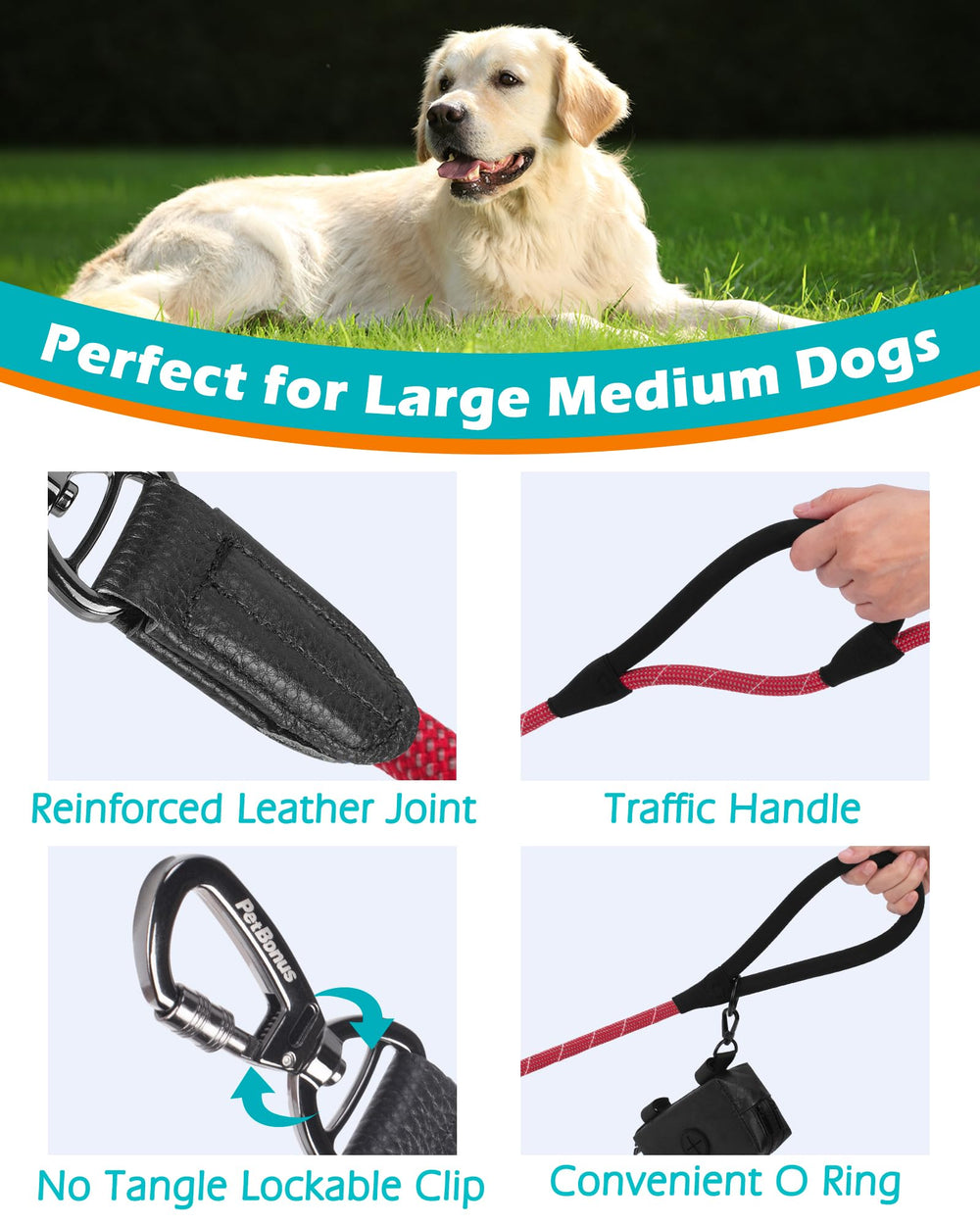 PetBonus rope leash lockable clasp and swivel in action for tangle-free training sessions