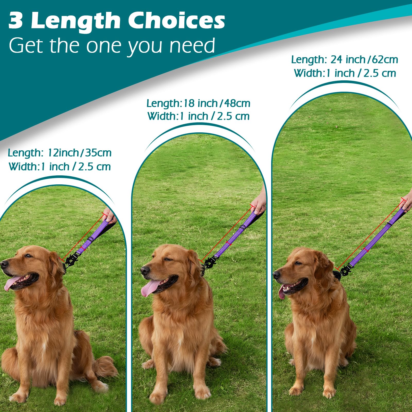 PetBonus 360-degree rotation prevents leash twisting during training