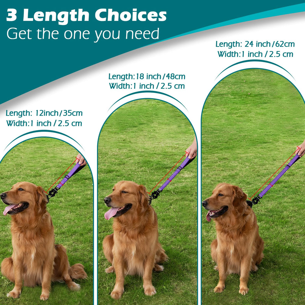 PetBonus 360-degree rotation prevents leash twisting during training