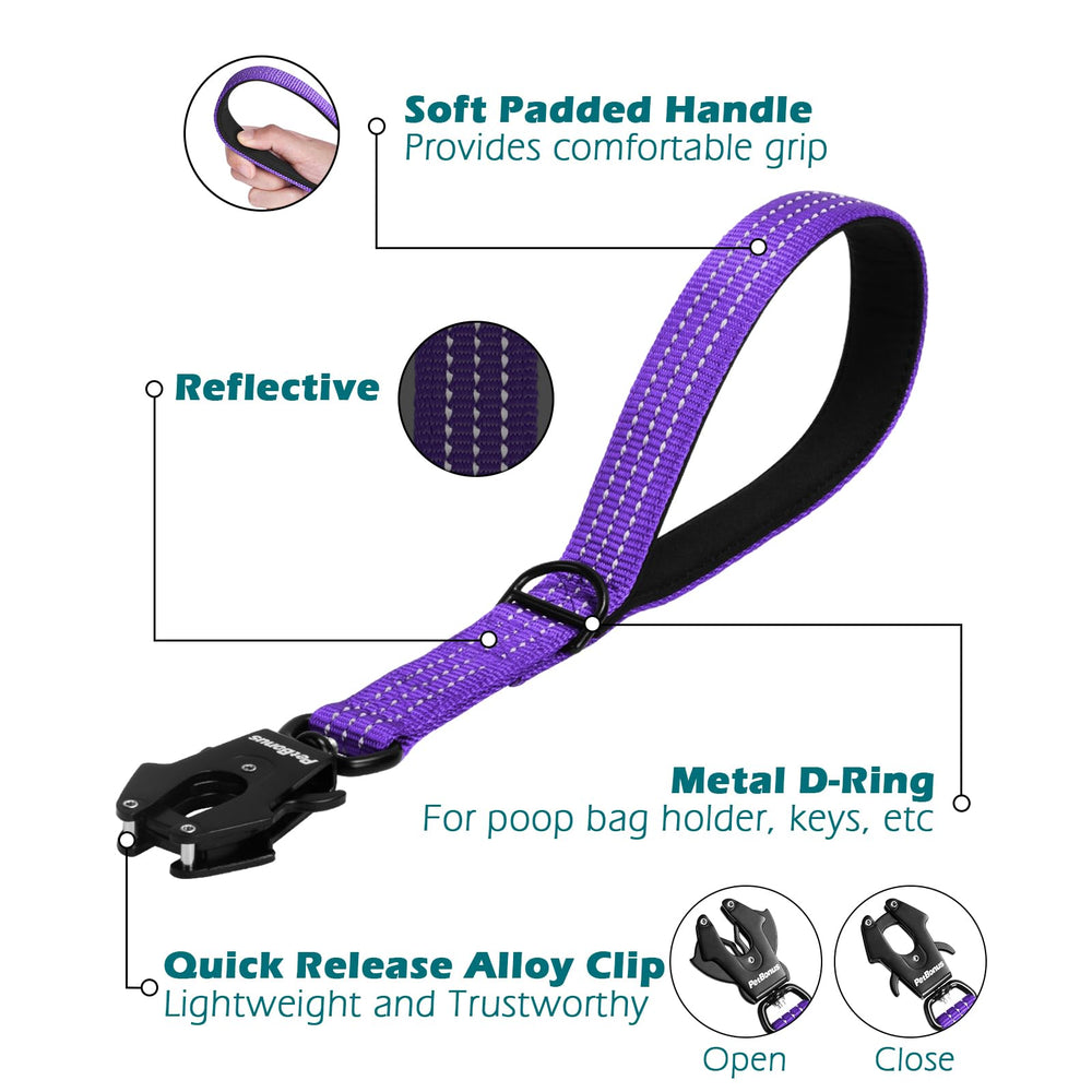 PetBonus three-length options show 12, 18, and 24 inches for flexible control