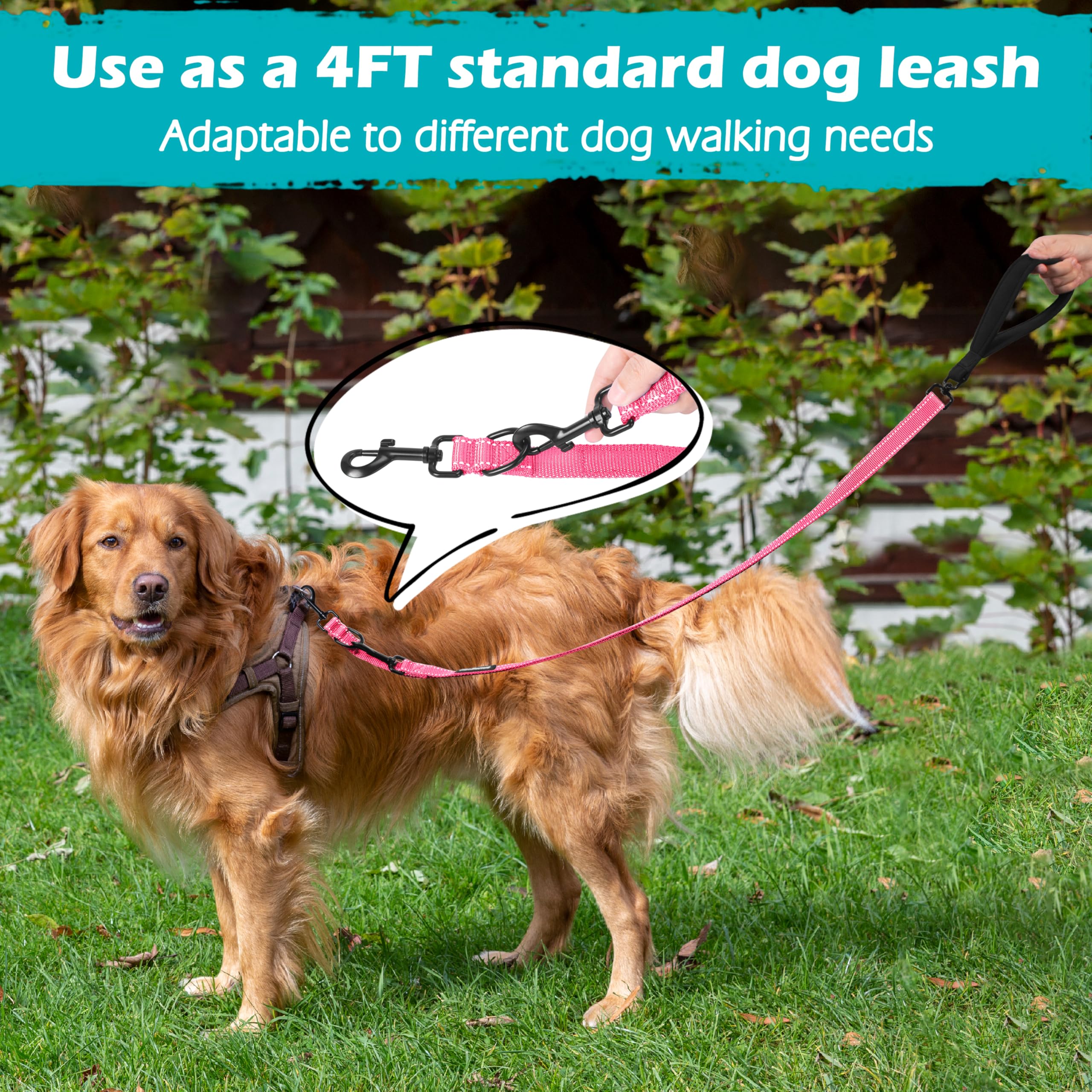 PetBonus leash convert-to-single demonstrates a compact 4ft option for shorter outings.