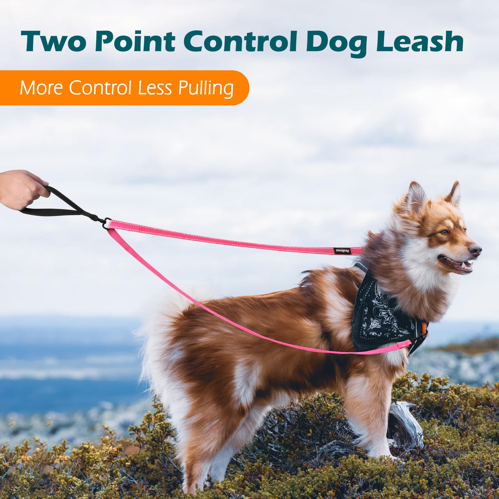 PetBonus two point control leash dual-clip in action reduces pulling through front and back guidance.