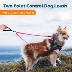 PetBonus two point control leash dual-clip in action reduces pulling through front and back guidance.