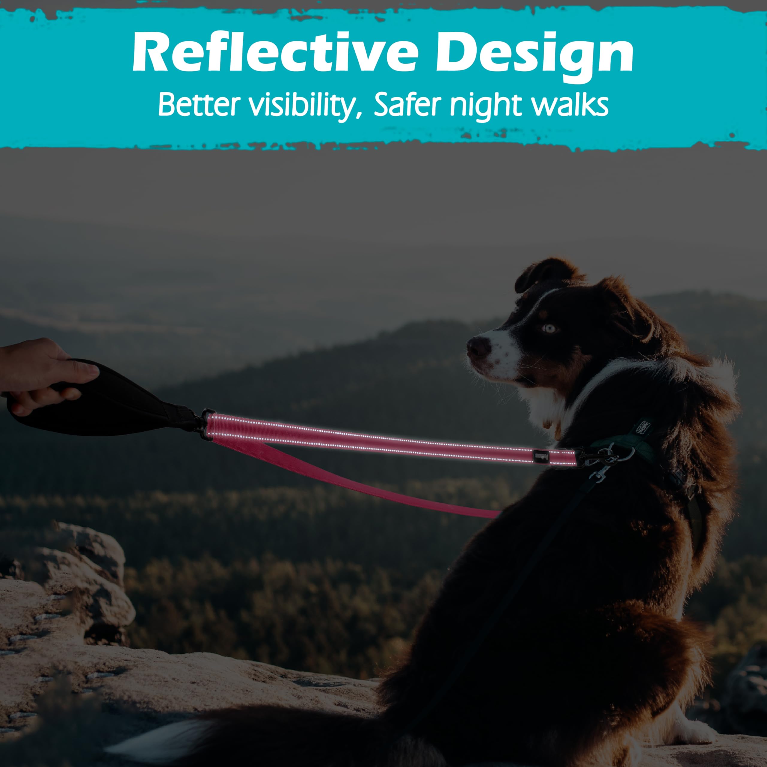 PetBonus pink dog leash pairs style with functionality for medium to large dogs.