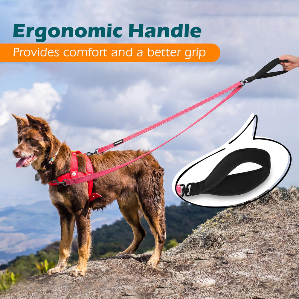 PetBonus leash reflective-stitching enhances nighttime visibility for safer walks.
