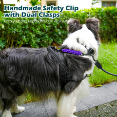 PetBonus universal clip fits all collars and harnesses for versatile safety.