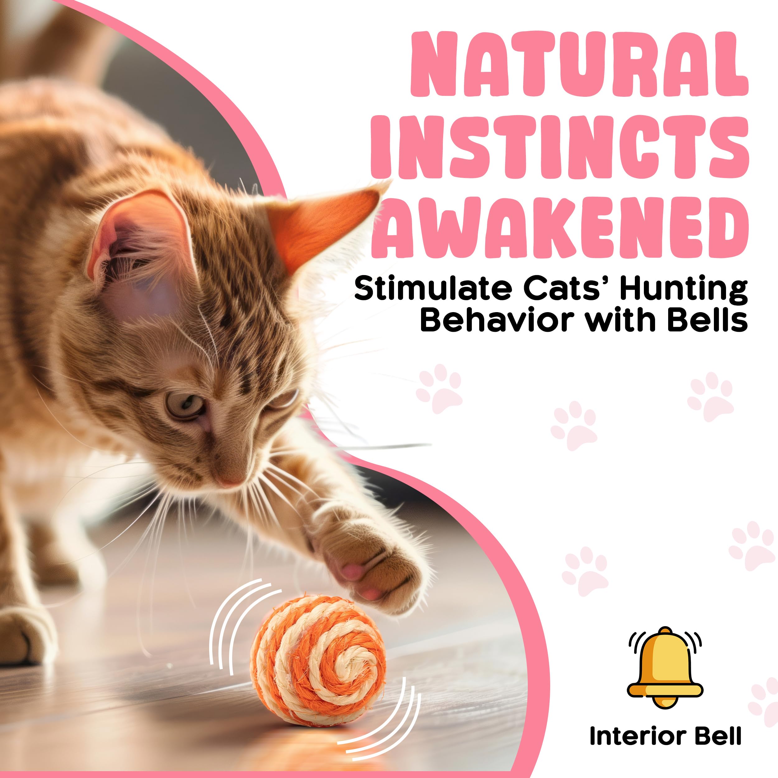 PetBox Cutie's woven multicolor balls encourage interactive play and owner bonding.